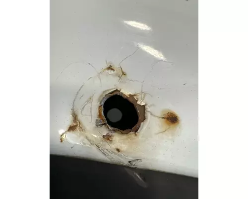 FORD F650 Door Assembly, Front