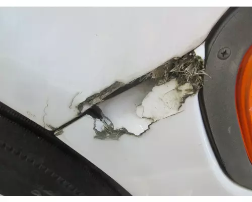 FORD F650 Hood