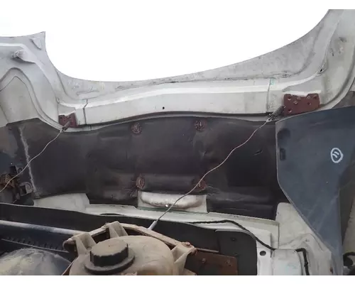 FORD F650 Hood