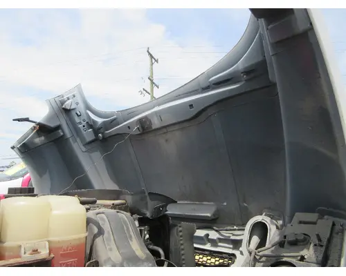 FORD F650 Hood
