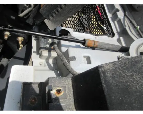 FORD F650 Hood
