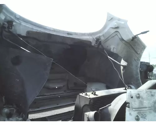 FORD F650 Hood