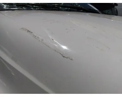 FORD F750SD (SUPER DUTY) HOOD