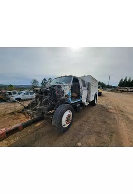 FORD F800 Door Assembly, Rear or Back