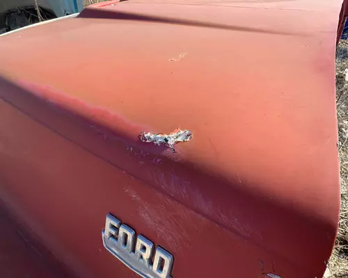 FORD LN8000 Hood