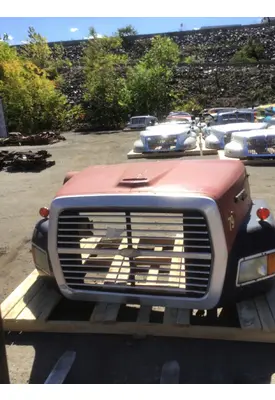 FORD LTA9000 AEROMAX Hood