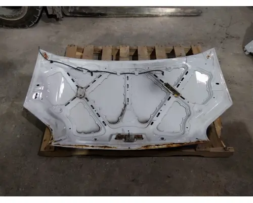 FORD TRANSIT CONNECT HOOD