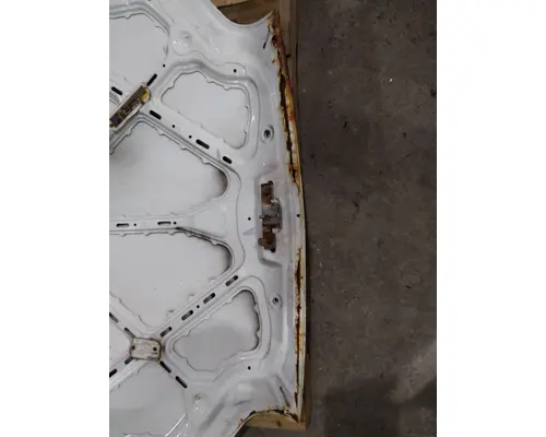 FORD TRANSIT CONNECT HOOD