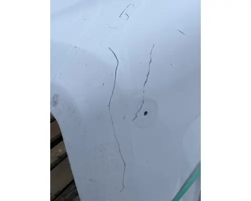 FREIGHTLINER 114SD SBA Hood