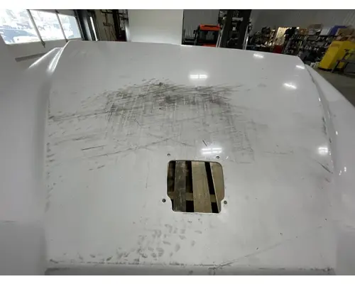 FREIGHTLINER 114SD SBA Hood