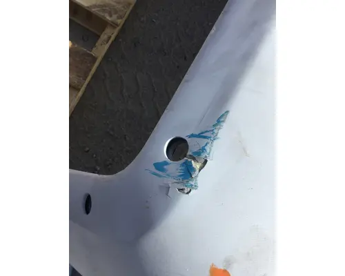 FREIGHTLINER 114SD HOOD