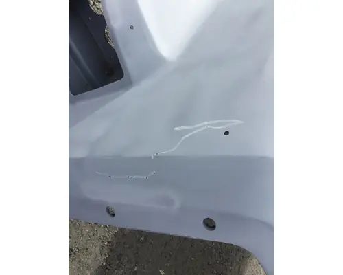 FREIGHTLINER 114SD HOOD