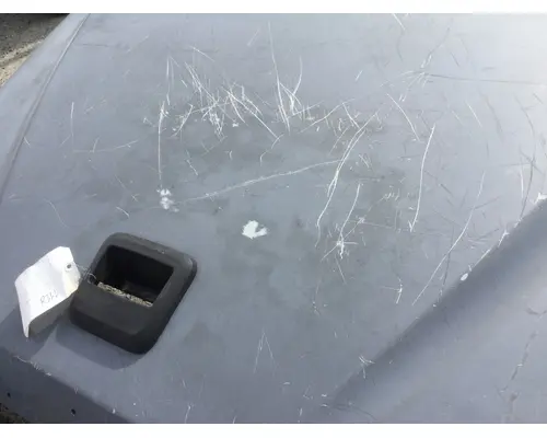 FREIGHTLINER 114SD HOOD