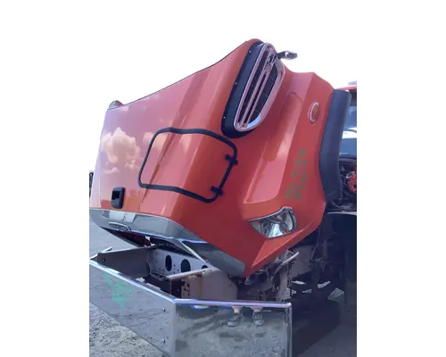 FREIGHTLINER 114SD HOOD