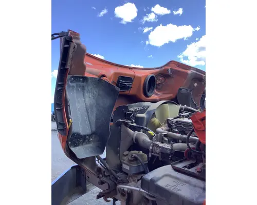 FREIGHTLINER 114SD HOOD