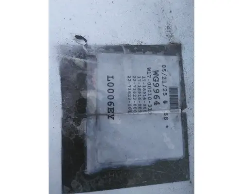 FREIGHTLINER 114SD HOOD