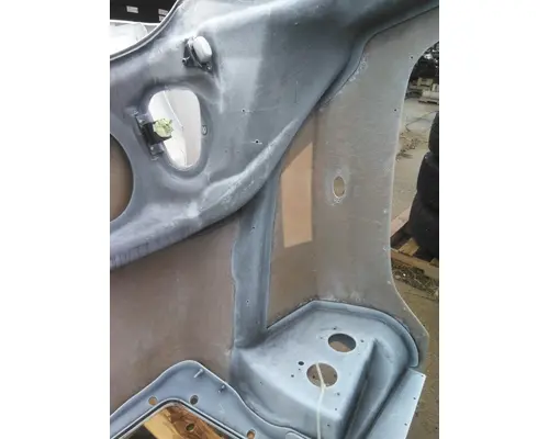 FREIGHTLINER 114SD HOOD