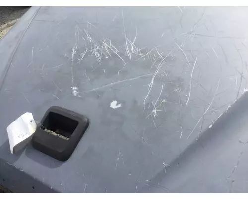 FREIGHTLINER 114SD Hood