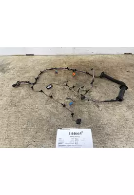 FREIGHTLINER A06-95756-003 Wiring Harness