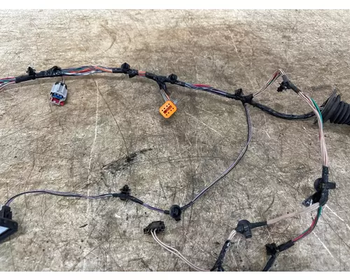 FREIGHTLINER A06-95756-003 Wiring Harness