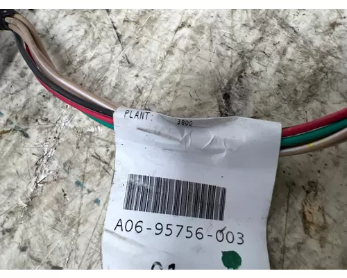 FREIGHTLINER A06-95756-003 Wiring Harness