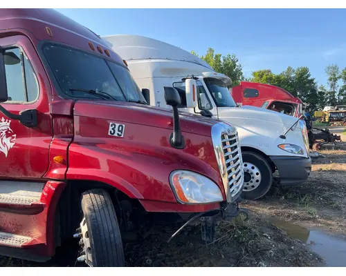 FREIGHTLINER A17-15340-014 Hood