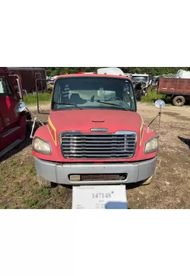 FREIGHTLINER A17-15459-002 Hood