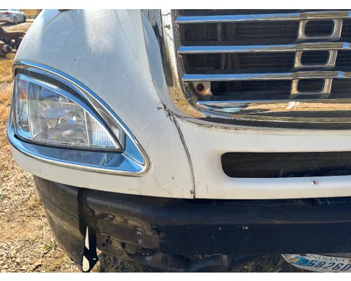 FREIGHTLINER A17-15549-000 Hood
