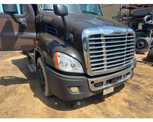 FREIGHTLINER A17-15588-009 Hood