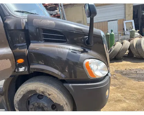 FREIGHTLINER A17-15588-009 Hood