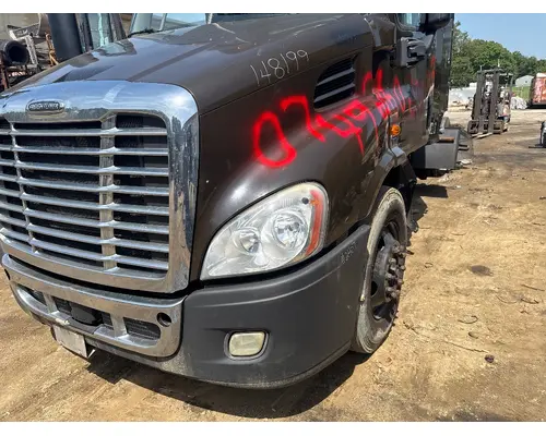 FREIGHTLINER A17-15588-009 Hood