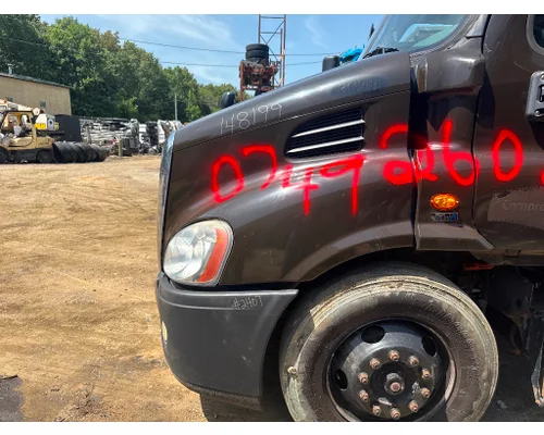 FREIGHTLINER A17-15588-009 Hood