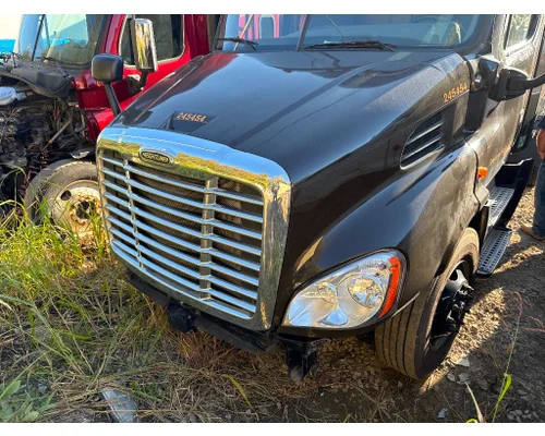FREIGHTLINER A17-15588-009 Hood