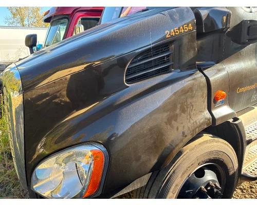FREIGHTLINER A17-15588-009 Hood
