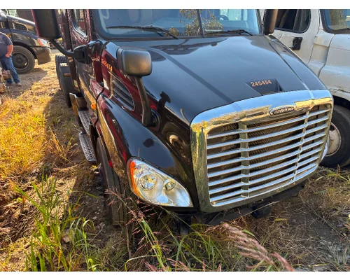 FREIGHTLINER A17-15588-009 Hood