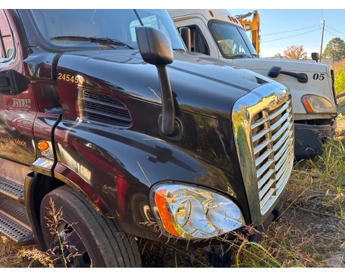 FREIGHTLINER A17-15588-009 Hood