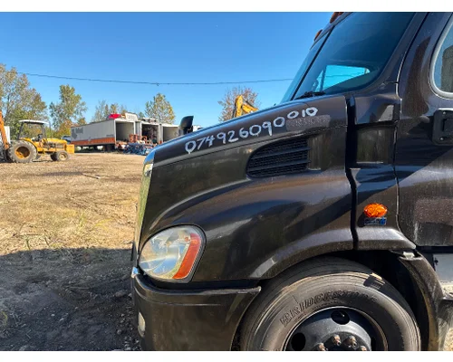 FREIGHTLINER A17-15588-009 Hood