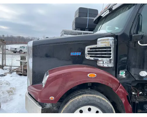 FREIGHTLINER A17-17919-004 Hood