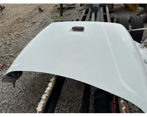 FREIGHTLINER A17-19133-000 Hood