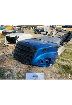 FREIGHTLINER A17-20392-006 Hood