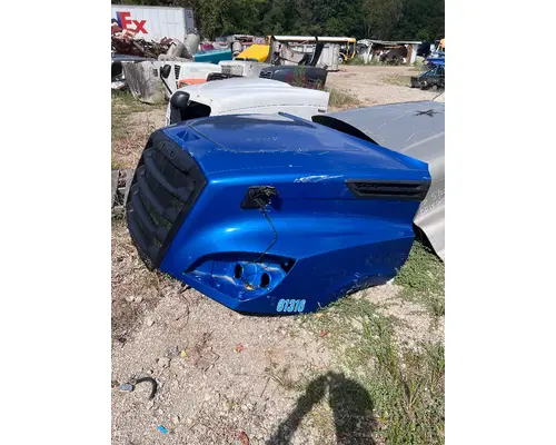 FREIGHTLINER A17-20392-006 Hood