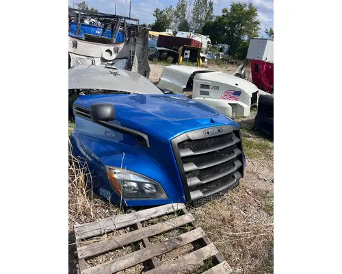 FREIGHTLINER A17-20392-006 Hood