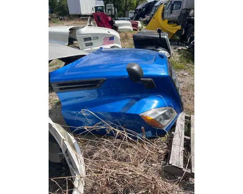FREIGHTLINER A17-20392-006 Hood