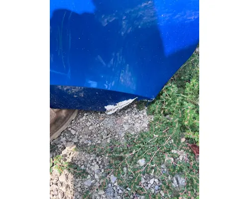 FREIGHTLINER A17-20392-006 Hood