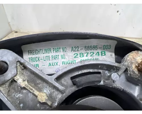 FREIGHTLINER A22-66565-003 Mirror (Side View)