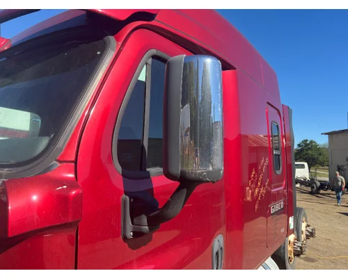 FREIGHTLINER A22-69637-017 Mirror (Side View)
