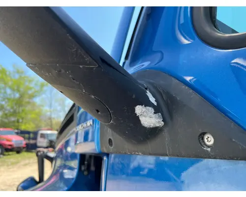 FREIGHTLINER A22-76858-004 Mirror (Side View)