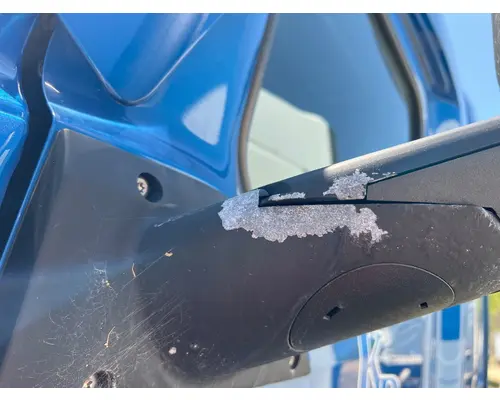 FREIGHTLINER A22-76858-004 Mirror (Side View)