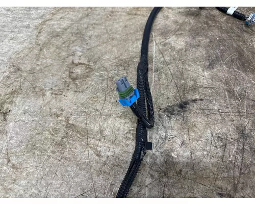 FREIGHTLINER A66-07167-003 Wiring Harness