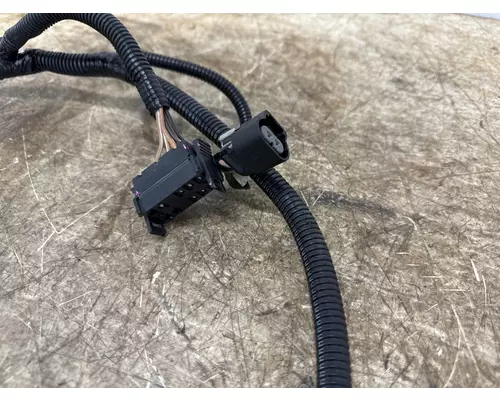 FREIGHTLINER A66-07167-041 Wiring Harness